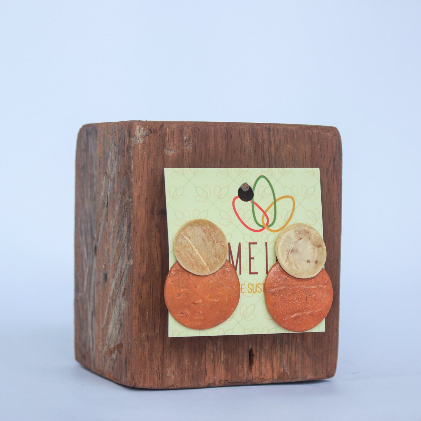 Roundshook Earring