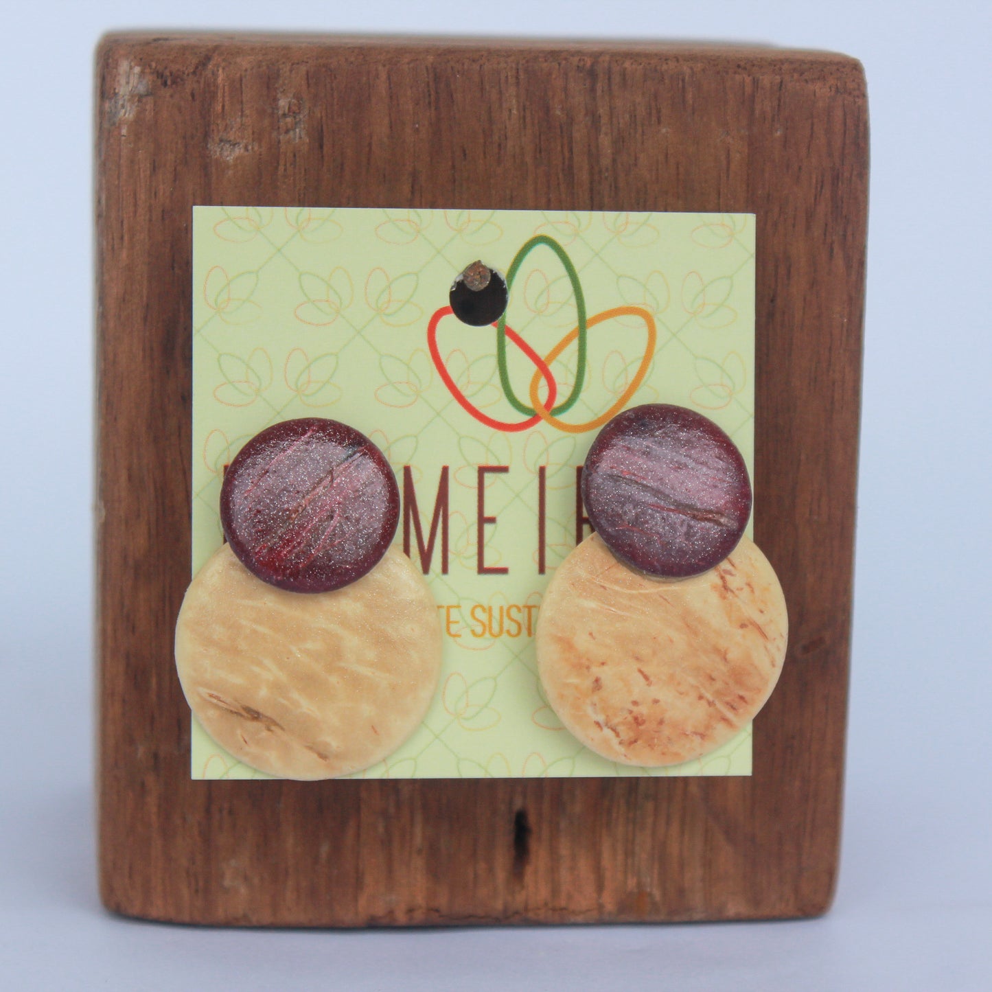Roundshook Earring