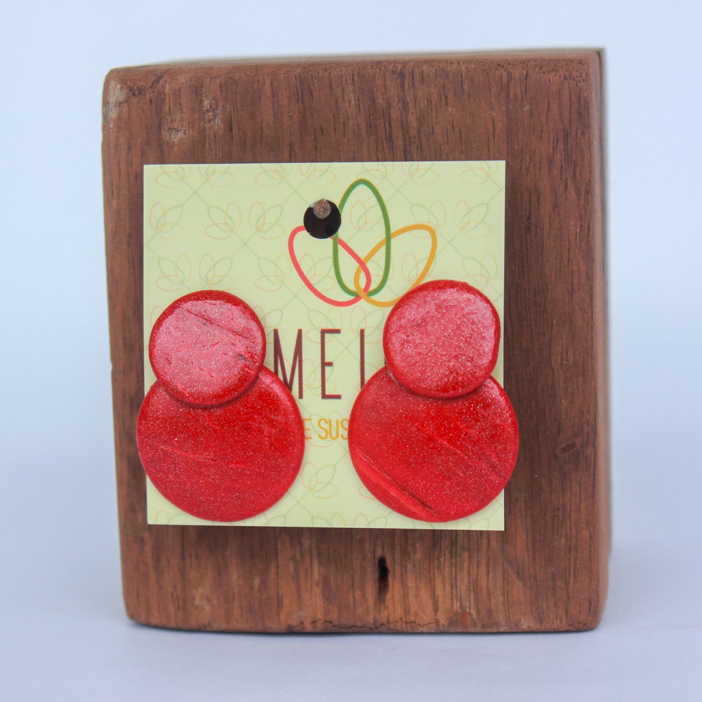 Roundshook Earring